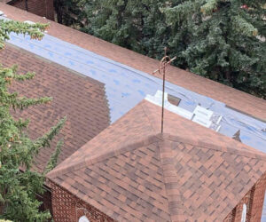 How to Protect Your Roof From Tree Damage.