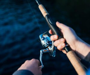 How the Shimano FX 2500HG Reel Helps You Catch Bigger Carp with Carp Rods