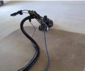 How much Does Carpet Cleaning Cost in Ames Iowa