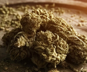 A Detailed Guide on Death Bubba Strain