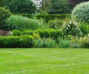 How to Choose the Best Turf Layer for Your Yard