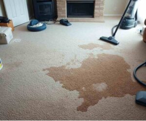 Common Carpet Cleaning Mistakes to Avoid in Ames