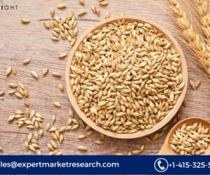 Barley Procurement Intelligence Report 2025: Trends, Technology and Global Market Insights