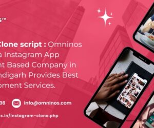 How to Build a Profitable Social Network with an Instagram Clone