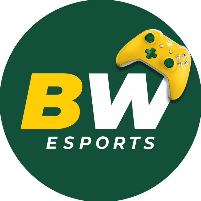 Betwinner O Seu Destino Para Apostas Online