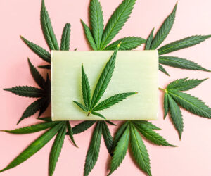 Top 5 Reasons Windy City Cannabis Redefines Customer Service in Illinois Marijuana Dispensaries