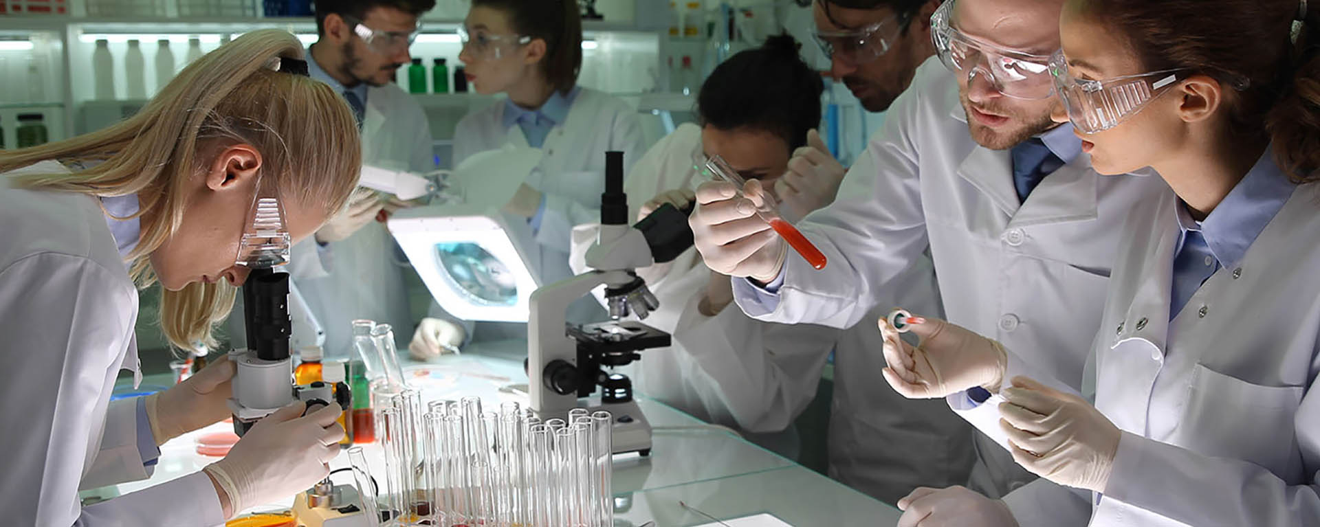 Scope of the BS Medical Laboratory Sciences