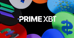 Exploring the Features of PrimeXBT Website