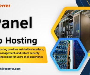 Why cPanel Web Hosting is Perfect for Hosting Multiple Domains