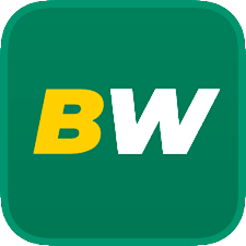 Experience Excitement at the Online Casino Betwinner